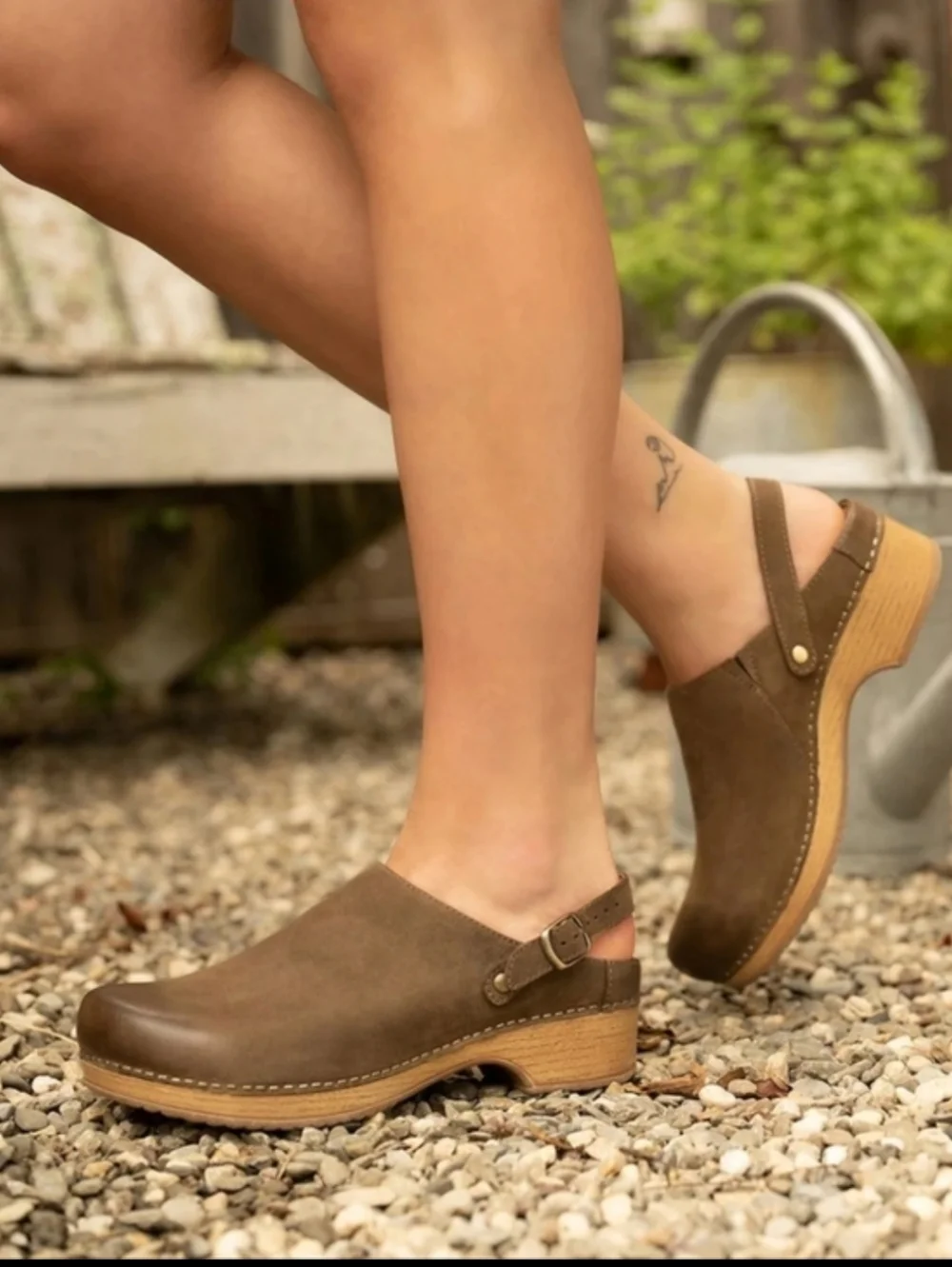 Dansko Women's Berry in Mushroom Burnished Nubuck Mule - Picture 1 of 13